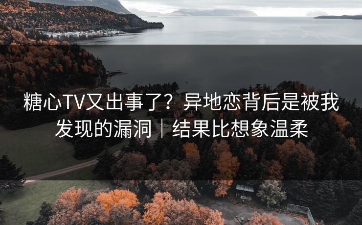 糖心TV又出事了？异地恋背后是被我发现的漏洞｜结果比想象温柔  第1张