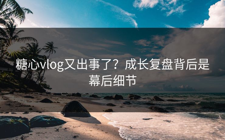 糖心vlog又出事了？成长复盘背后是幕后细节  第1张